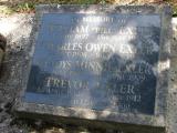 image of grave number 205690